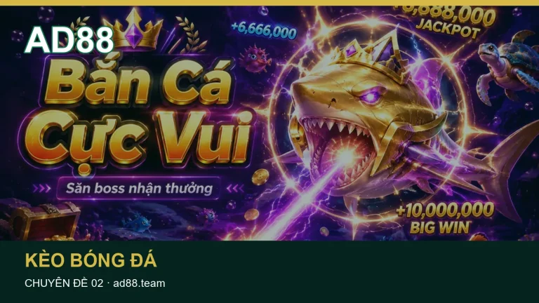 Giải thích các trường thông tin thường gặp trong Lịch thi đấu – chuẩn hóa múi giờ và nguồn lịch