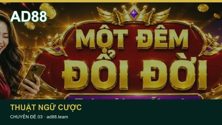 Giải thích các trường thông tin thường gặp trong Thể thao – xác định môn thi đấu và bối cảnh giải