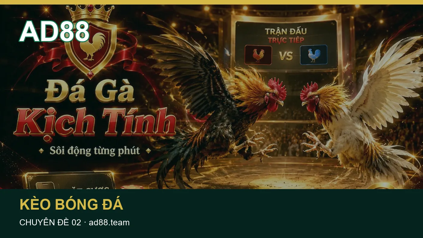Ảnh minh họa cho bài “Giữ góc nhìn có trách nhiệm khi tham khảo Thể thao – xác định môn thi đấu và bối cảnh giải”