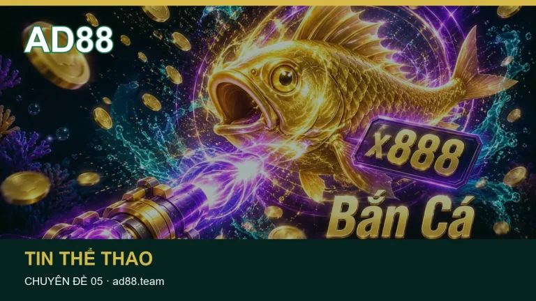 Giải thích các trường thông tin thường gặp trong Tin thể thao – xác minh bản tin cùng ngày cập nhật